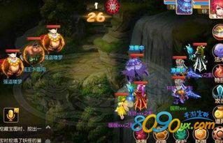 女娲宠物爆料视频下载大全,一网打尽最新宠物情报  第1张